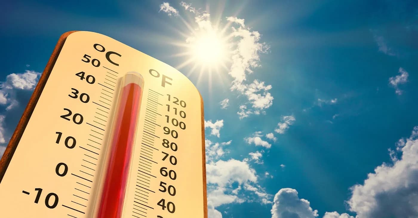 ekstremal-isti-hava-qicolmalara-koma-ve-olum-risklerini-artirir