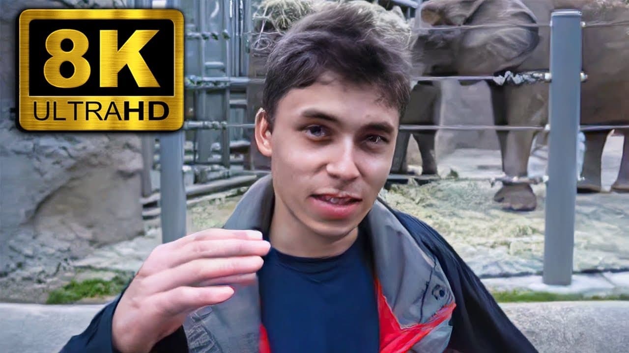 youtube-daki-ilk-videonun-bu-gun-20-yasi-tamam-olub