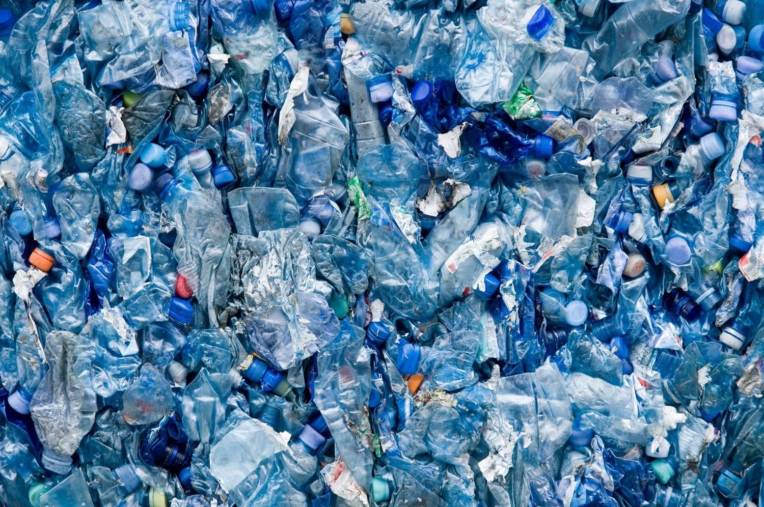 plastik-materiallarin-parcalanmasi-ucun-mum-qurdlarindan-istifade-nezerden-kecirilir